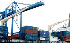 Doanh nghiệp bị “ghim” hàng vì kiểm tra chuyên ngành