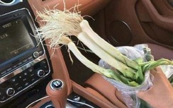 Quệt trúng xe Bentley, ném túi hành đền thiệt hại