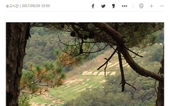 Hàn Quốc điều tra vụ quân nhân bị bắn vào đầu gần Triều Tiên