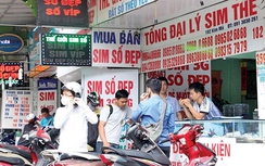 Sim 11 số đội giá tiền tỷ chờ ngày về 10 số