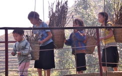 Nới lỏng mức sinh, mỗi địa phương cần giải pháp đặc thù