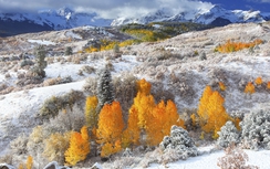 Video: Tuyết bắt đầu rơi ở miền Tây nước Mỹ