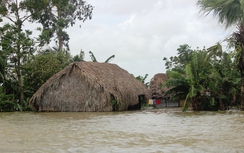 Lũ đi rồi, nỗi đau ở lại