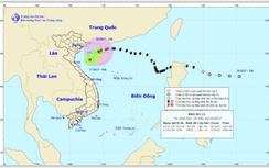 Áp thấp nhiệt đới gần bờ, gió giật cấp 9