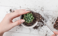 Những món quà thiết thực dành tặng bạn gái ngày 20/10