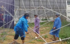 Cận APEC, Đà Nẵng bị bão số 12 thử thách