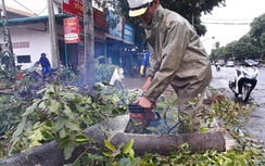 Chùm ảnh: Đắk Lắk nỗ lực khắc phục hậu quả bão Damrey