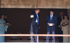 Video: ông Trump và ông Abe cùng cho cá ăn