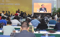 Chủ tịch SCOM APEC 2017 gửi lời chia sẻ tới người dân vùng bão