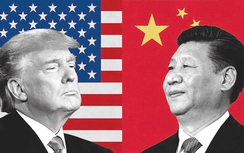 Tin tức 24h nóng nhất, mới nhất hôm nay 8/11/2017