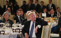 Tin tức 24h nóng nhất, mới nhất hôm nay 10/11/2017