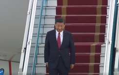 Tân Hoa xã đăng video ông Tập Cận Bình đến Đà Nẵng