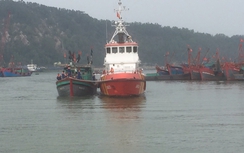 Cứu 13 ngư dân gặp nạn trước cơn bão số 13