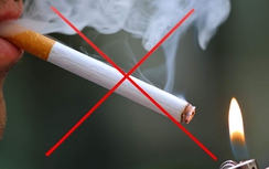 Bộ GTVT triển khai môi trường không khói thuốc