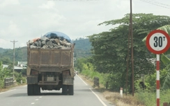 Đề xuất cấm xe tải trọng lớn trong giờ cao điểm tại Đồng Hới