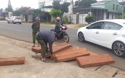 Bị truy đuổi, tài xế chở gỗ lậu "bỏ của chạy lấy người"