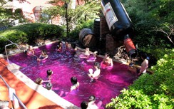 Tới Nhật Bản du lịch không thể bỏ qua 10 địa điểm này