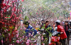 Chính phủ dự kiến quyết phương án nghỉ Tết Nguyên đán 2018 thế nào?