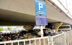 Hà Nội: Ngang nhiên biến gầm cầu thành bãi giữ xe