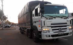 Bị thu bằng vì chở hàng quá tải, tài xế lại chở vượt 150%