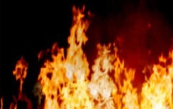 Cháy Cung quy hoạch, hội chợ, triển lãm và Văn hoá Quảng Ninh