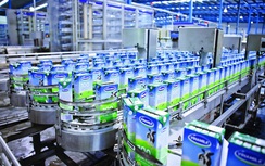 "Ông lớn" ôtô Singapore tiếp tục rót 3.000 tỷ vào Vinamilk