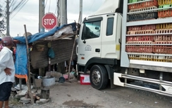 Xe tải chở vịt tông chết người phụ nữ ngồi lề đường