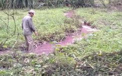 Một cơ sở giấy vàng mã khiến nước đổi màu bất thường