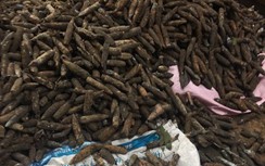 Tiết lộ kinh hoàng cách tiêu hủy kho đầu đạn ở Bắc Ninh