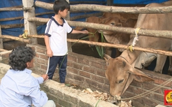 Một gia đình thoát nghèo nhờ món quà từ Dr Thanh