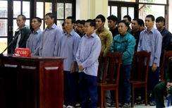 Vì sao tòa trả hồ sơ vụ phá rừng pơ mu ở Quảng Nam?