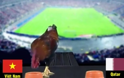 Phát sốt với dự đoán của "thần kê" về U23 Việt Nam