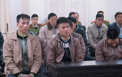 Thuê taxi đi trộm gỗ sưa, bán chia nhau gần 1 tỷ đồng