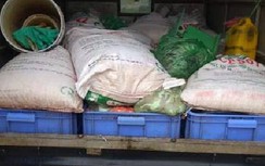 CSGT chặn đứng 4,5 tấn nội tạng thối ở cửa ngõ Thủ đô