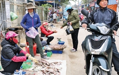 Có cầu vượt biển, dân đảo Cát Hải vui đón Tết