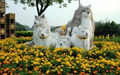 Chiêm ngưỡng đường hoa rực rỡ tại "khu nhà giàu" ở TP.HCM