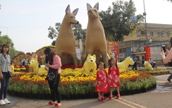 Tiền Giang: Đường hoa Hùng Vương thu hút nhiều người đến thưởng ngoạn