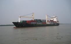 Cứu sống 8 thuyền viên gặp nạn trong chuyến đi đầu năm mới