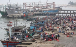 Ngư dân Quảng Trị hối hả bám biển sau Tết