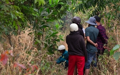 Tá hỏa phát hiện thi thể người đàn ông, phân hủy dưới gốc cây