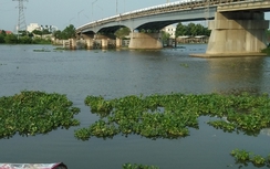 Nhảy cầu tự tử, nam thanh niên lại luống cuống tìm cọc bám