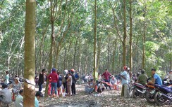 Bé gái 4 tuổi bị "yêu râu xanh" cưỡng hiếp rồi ném xuống giếng