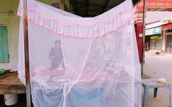 Mắc màn bán thịt lợn: Thấy lạ, ai cũng cười tôi