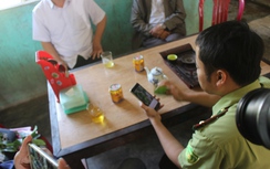 Chủ cây khủng như “quái thú” là một thanh niên quê ở Hà Nội?