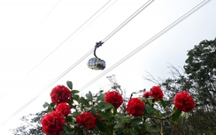 Người dân 6 tỉnh Tây Bắc được giảm giá vé đi cáp treo Fansipan