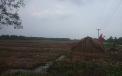 Nhóm người lạ ngang nhiên dựng gần 200 chòi lá trên đất dự án