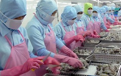 Xuất khẩu thủy sản ước đạt 1,67 tỷ USD trong quý I