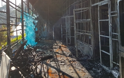 Công ty sâm Ngọc Linh cháy lớn sau tiếng nổ lúc rạng sáng