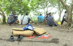 Triệt phá vụ đá gà ăn tiền quy mô lớn giữa đồng