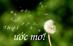 Lo ước mơ bị đánh thuế!